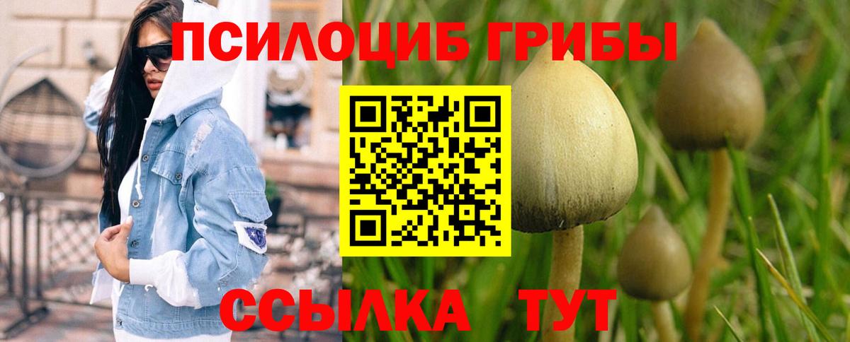 Галлюциногенные грибы MAGIC MUSHROOMS Мурманск